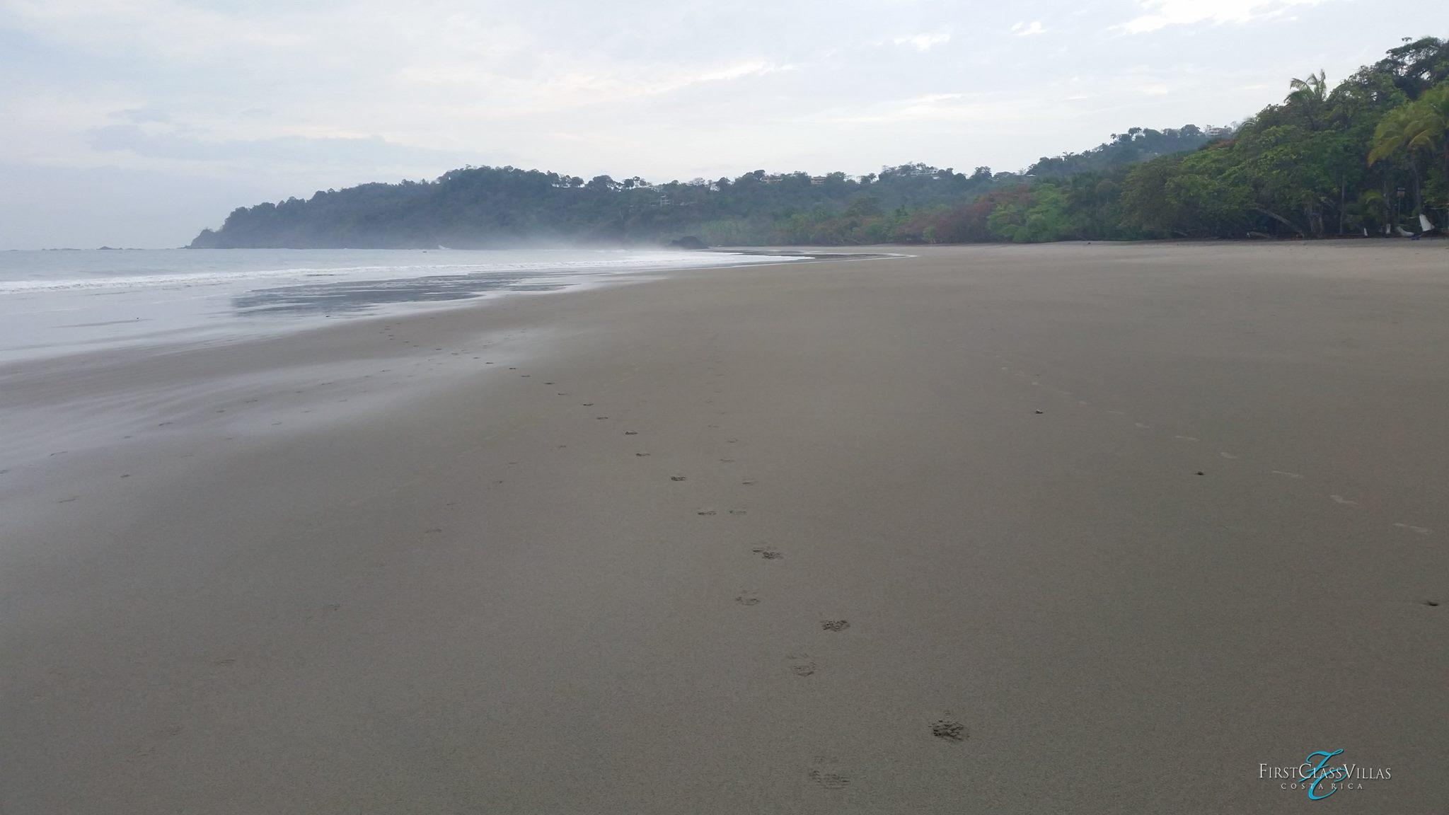 Deserted beach manuel Antonio