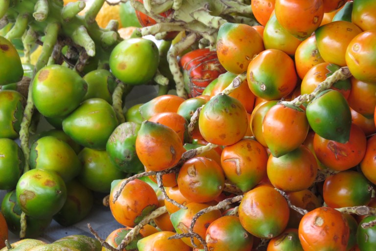 3 Amazing Costa Rican Fruits You Didn’t Know Existed - Costa Rica Villa